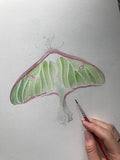 Luna Moth Watercolor Art Print