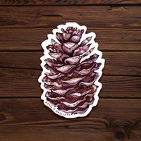 Pinecone Sticker