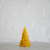 Pine Tree Beeswax Candle