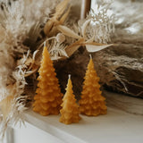 Pine Tree Beeswax Candle