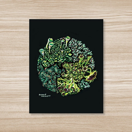 Forest Lichen Art Print