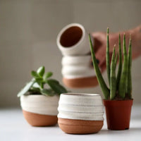Planter Pots