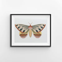 Pathways Moth Print