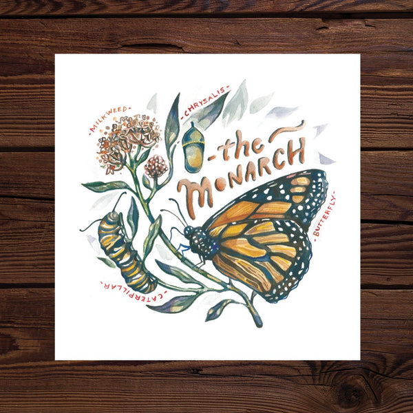 Monarch Butterfly Lifecycle