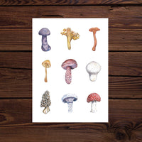 Wild Mushrooms Watercolor Print