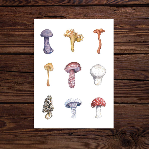 Wild Mushrooms Watercolor Print
