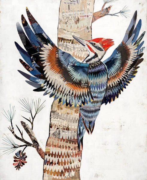 The Great Woodpecker