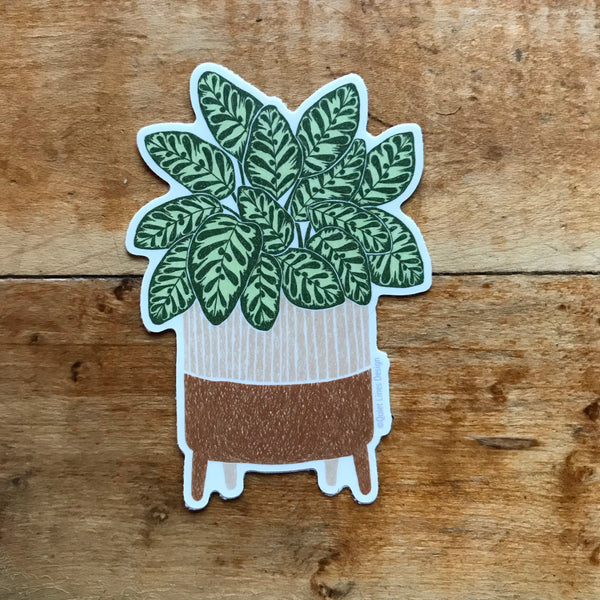 Peacock Plant Sticker